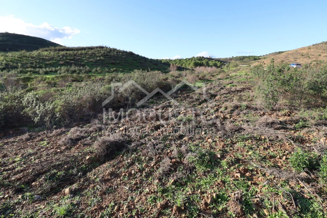 Terreno Agricola ou Rústico para Venda em Castro Marim Foto 11