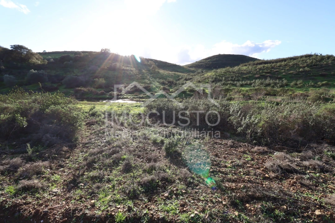 Terreno Agricola ou Rústico para Venda em Castro Marim Foto 12