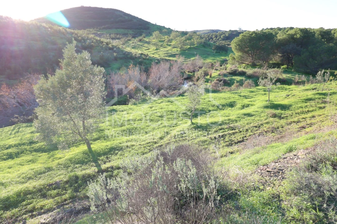 Terreno Agricola ou Rústico para Venda em Castro Marim Foto 19