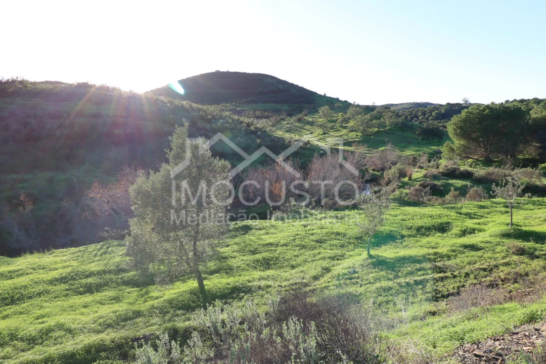 Terreno Agricola ou Rústico para Venda em Castro Marim Foto 20