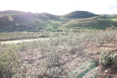 Terreno Agricola ou Rústico para Venda em Castro Marim