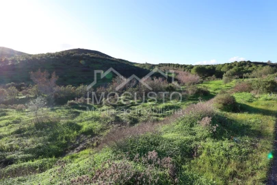 Terreno Agricola ou Rústico para Venda em Castro Marim
