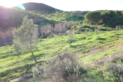 Terreno Agricola ou Rústico para Venda em Castro Marim