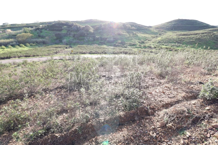 Terreno Agricola ou Rústico para Venda em Castro Marim Foto 4
