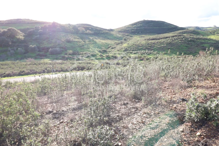 Terreno Agricola ou Rústico para Venda em Castro Marim Foto 5