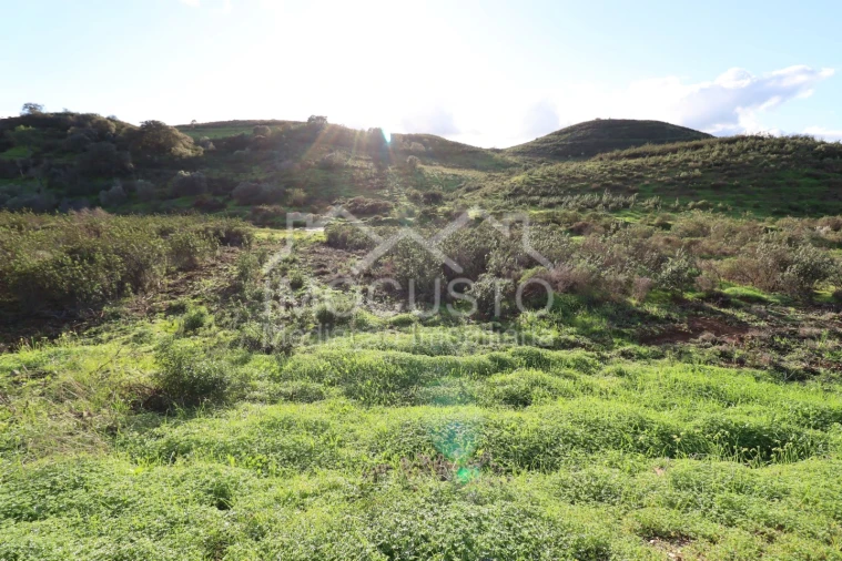Terreno Agricola ou Rústico para Venda em Castro Marim Foto 6