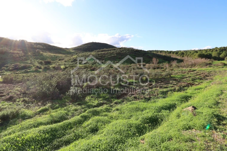 Terreno Agricola ou Rústico para Venda em Castro Marim Foto 9