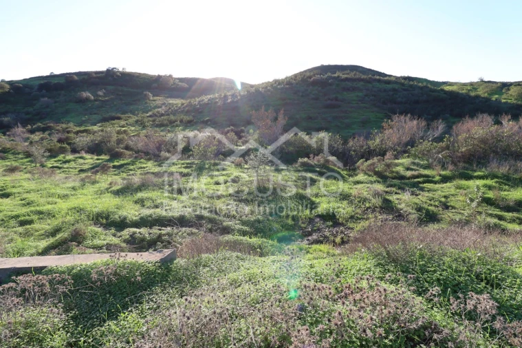 Terreno Agricola ou Rústico para Venda em Castro Marim Foto 17