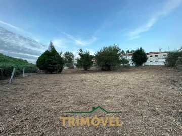 Terreno para Venda em São João da Madeira