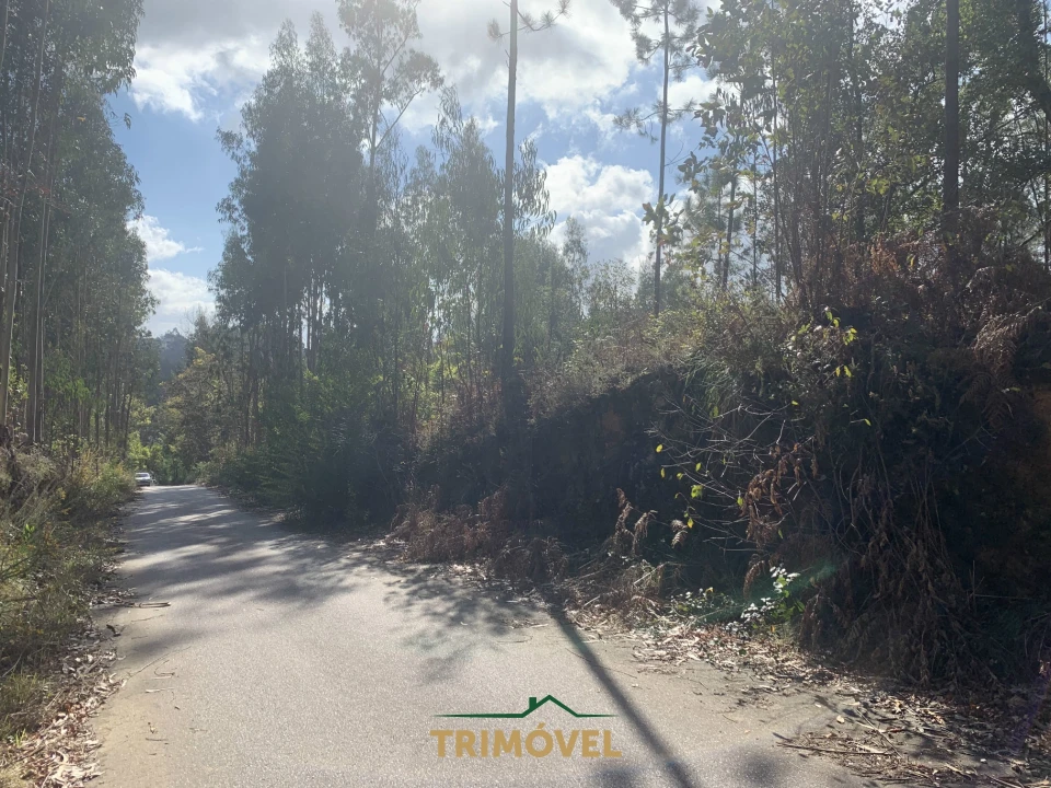 Terreno para Venda em São Roque Foto 9