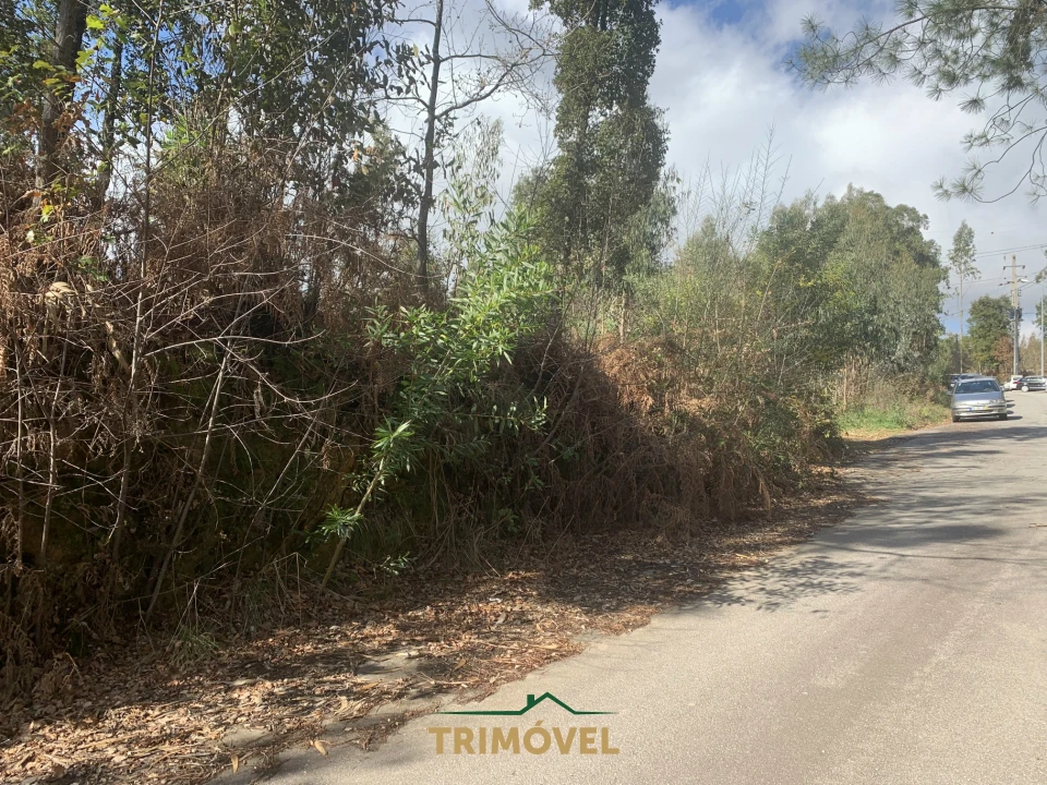 Terreno para Venda em São Roque Foto 11