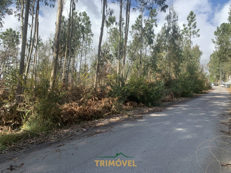 Terreno para Venda em São Roque Foto 10