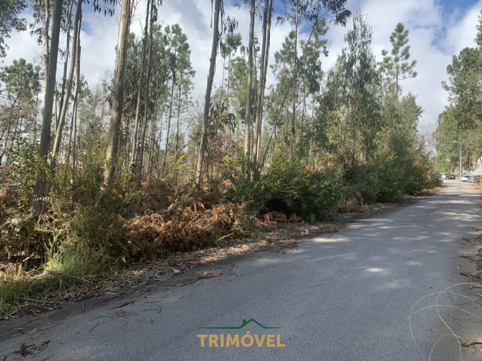 Terreno para Venda em São Roque Foto 10