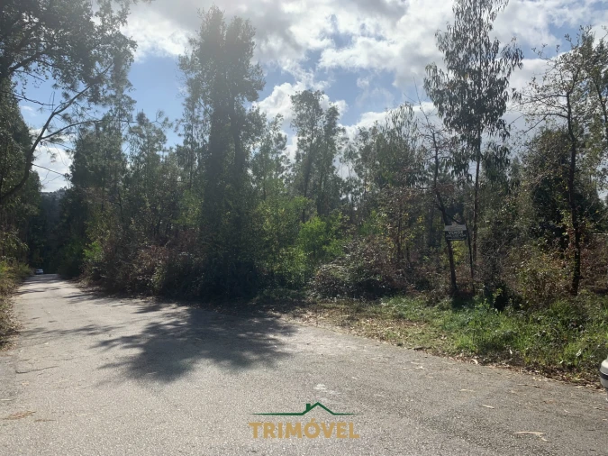 Terreno para Venda em São Roque Foto 6