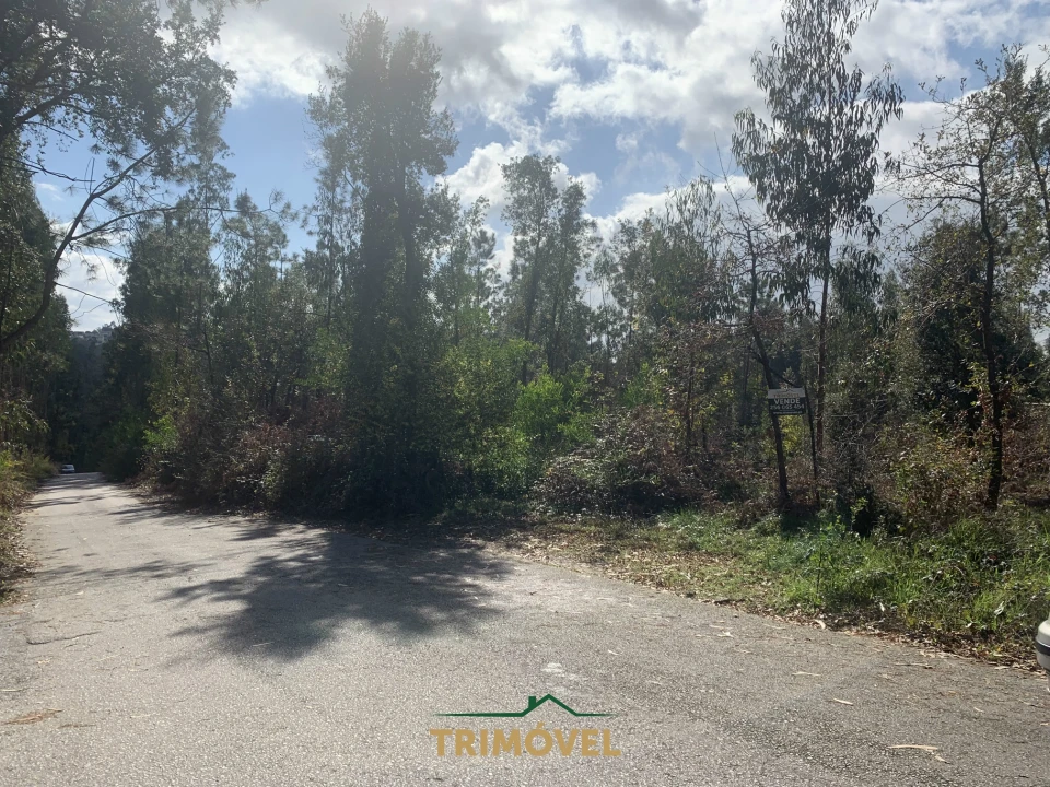 Terreno para Venda em São Roque Foto 6