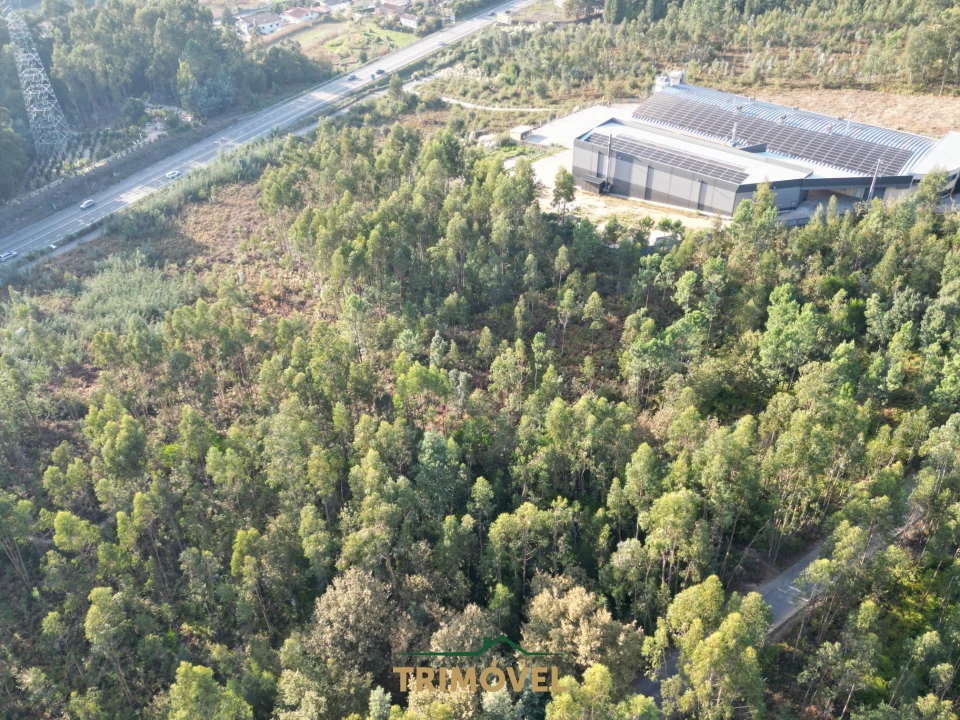 Terreno para Venda em São Roque Foto 4