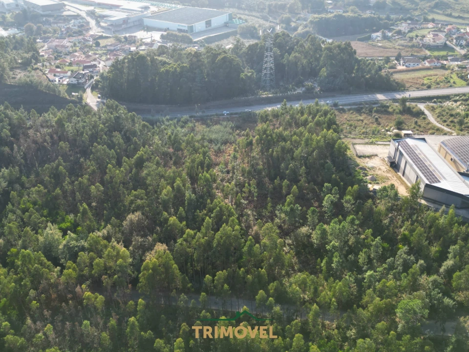 Terreno para Venda em São Roque Foto 2