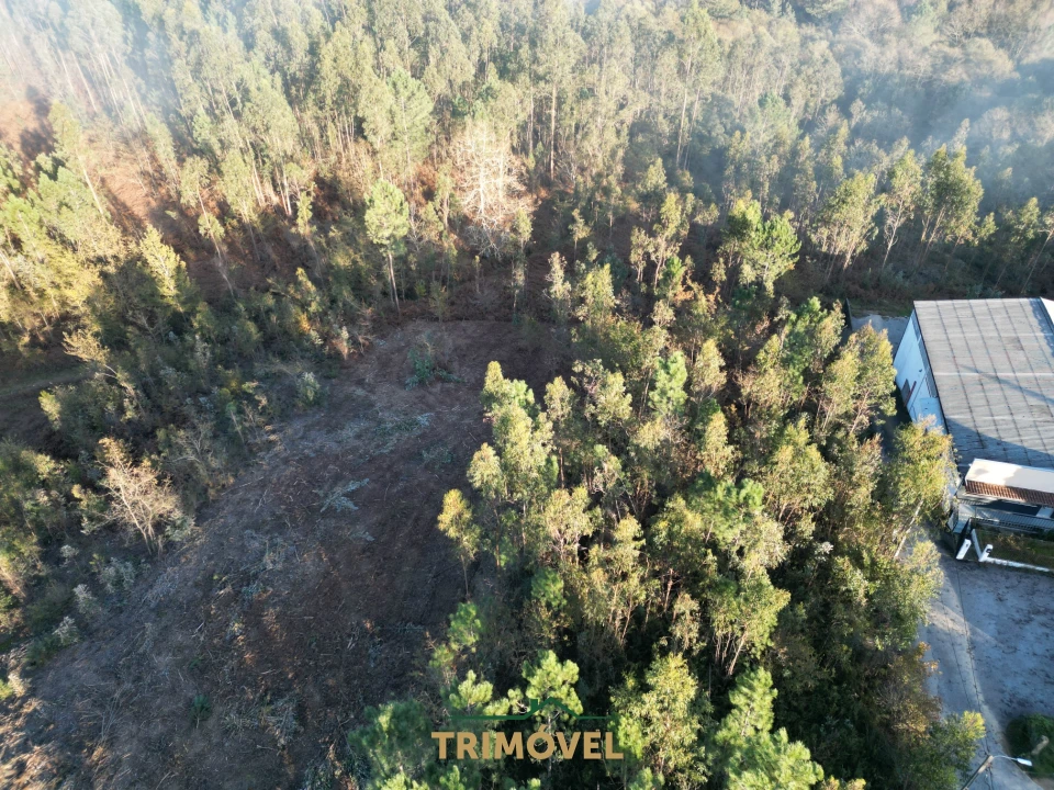 Terreno para Venda em São Roque Foto 7