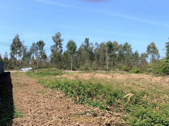 Terreno para Venda em São Roque Foto 16