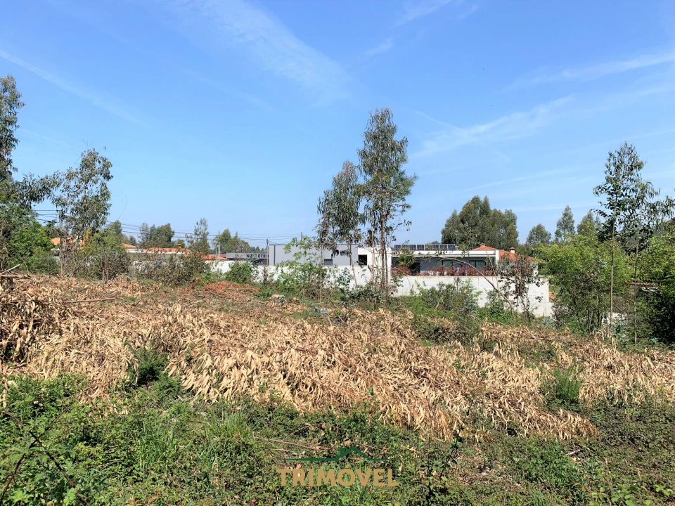 Terreno para Venda em São Roque Foto 15
