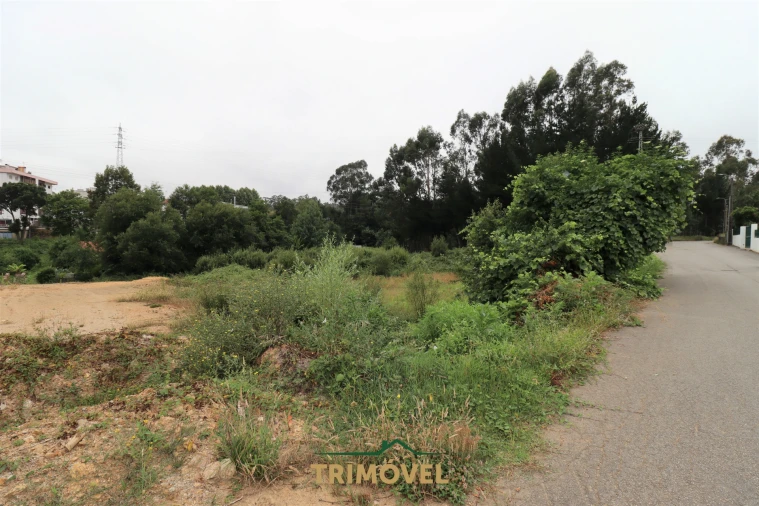 Terreno para Venda em São Roque Foto 14