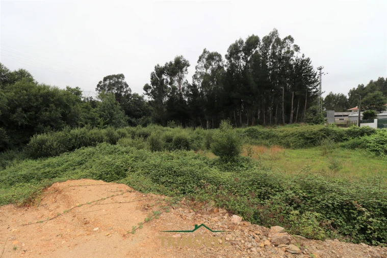 Terreno para Venda em São Roque Foto 11