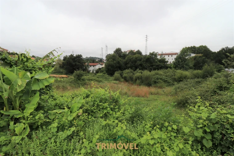 Terreno para Venda em São Roque Foto 13