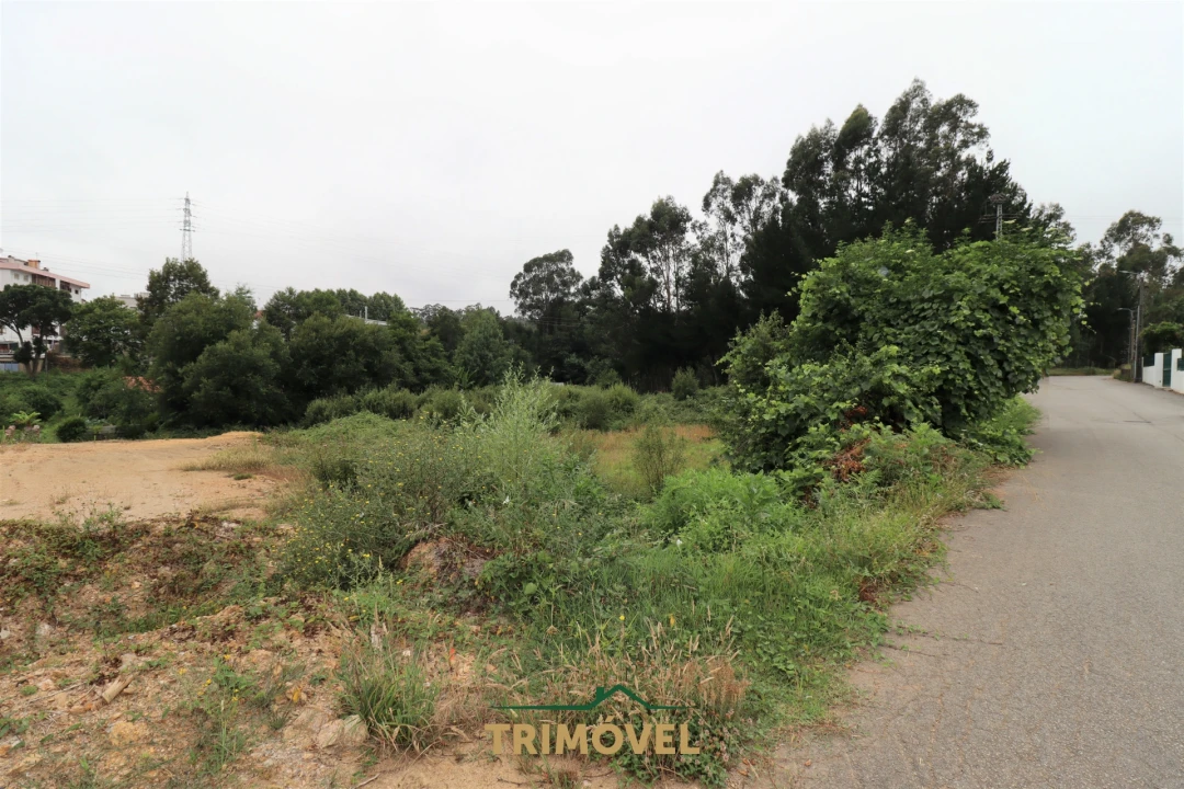 Terreno para Venda em São Roque Foto 9
