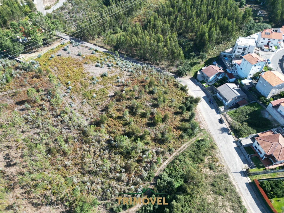 Terreno para Venda em Nogueira do Cravo e Pindelo Foto 2