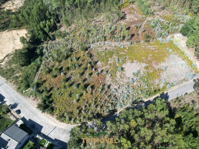 Terreno para Venda em Nogueira do Cravo e Pindelo Foto 6