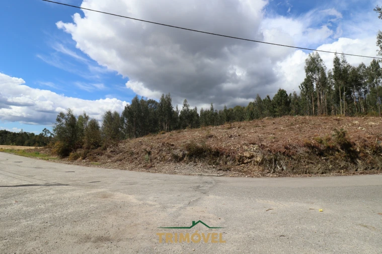 Terreno para Venda em Nogueira do Cravo e Pindelo Foto 7