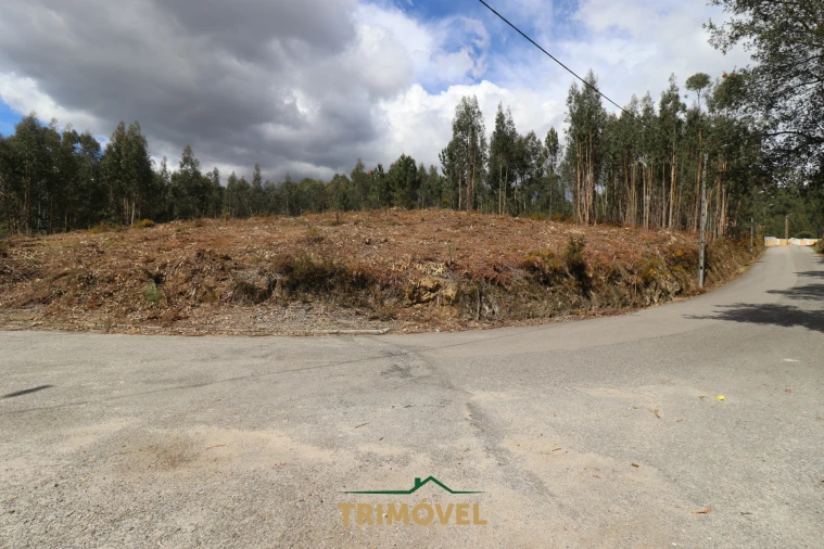 Terreno para Venda em Nogueira do Cravo e Pindelo Foto 8