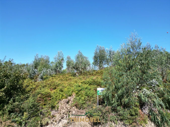 Terreno para Venda em Nogueira do Cravo e Pindelo Foto 3