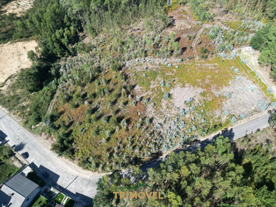 Terreno para Venda em Nogueira do Cravo e Pindelo Foto 14