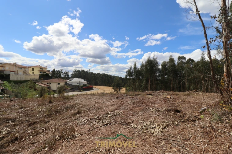 Terreno para Venda em Nogueira do Cravo e Pindelo Foto 8