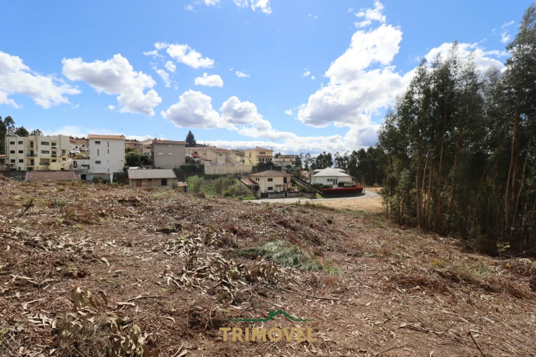 Terreno para Venda em Nogueira do Cravo e Pindelo Foto 7