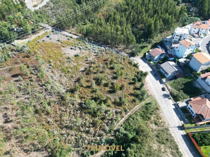 Terreno para Venda em Nogueira do Cravo e Pindelo Foto 1