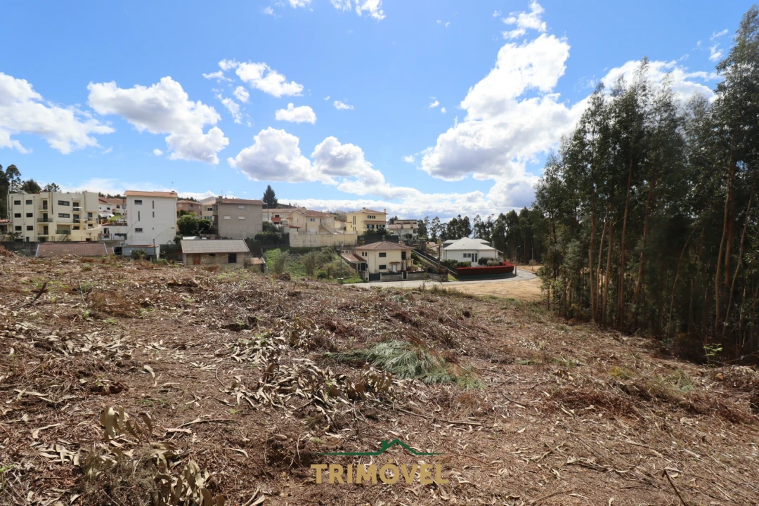 Terreno para Venda em Nogueira do Cravo e Pindelo Foto 7
