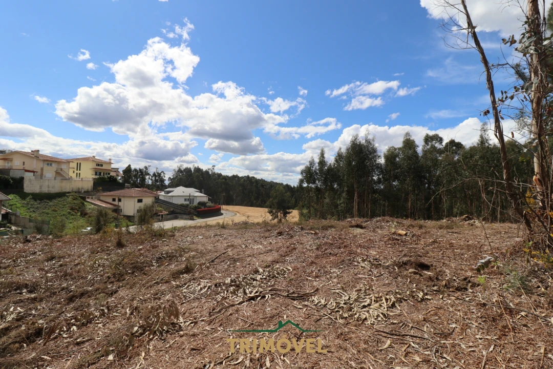 Terreno para Venda em Nogueira do Cravo e Pindelo Foto 7