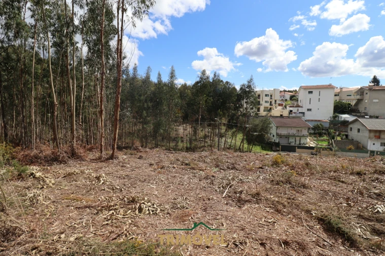 Terreno para Venda em Nogueira do Cravo e Pindelo Foto 9