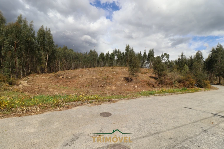 Terreno para Venda em Nogueira do Cravo e Pindelo Foto 8