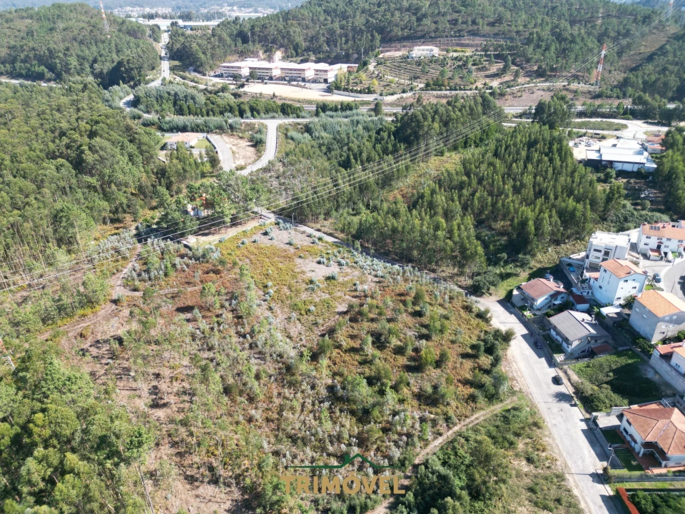 Terreno para Venda em Nogueira do Cravo e Pindelo Foto 3