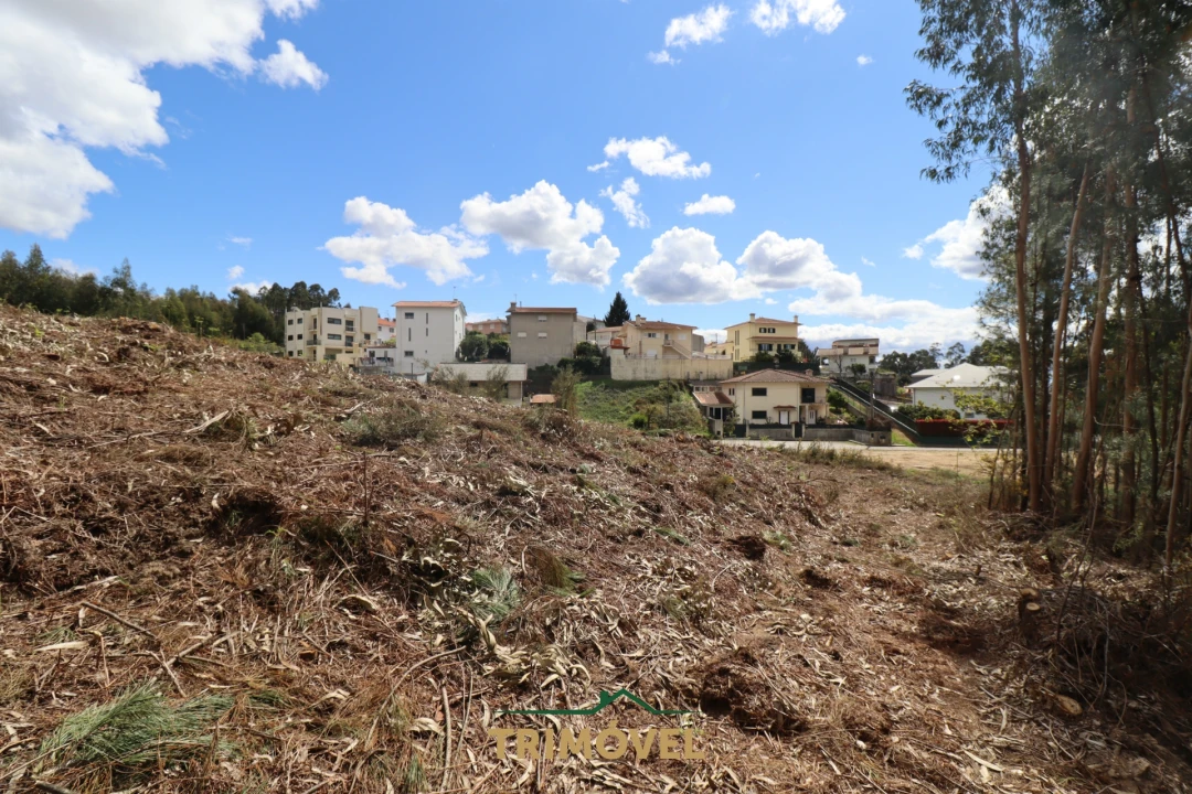 Terreno para Venda em Nogueira do Cravo e Pindelo Foto 10