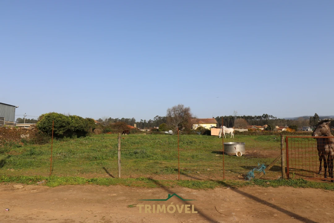 Terreno para Venda em Loureiro Foto 4