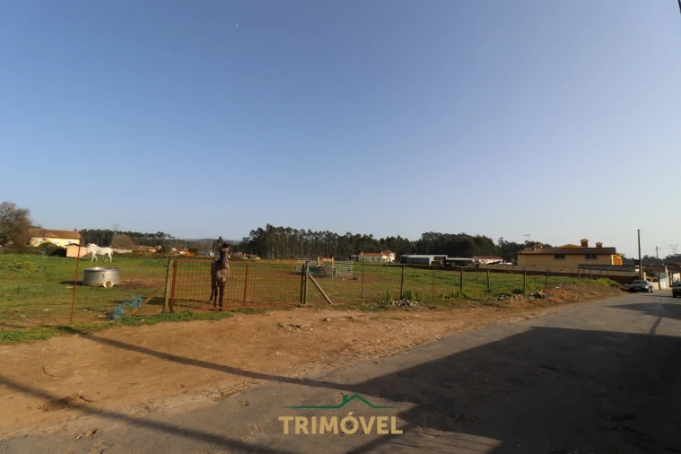 Terreno para Venda em Loureiro Foto 2