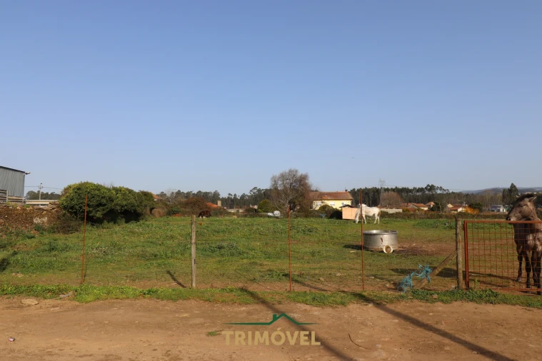 Terreno para Venda em Loureiro Foto 4