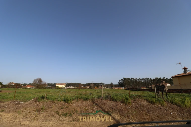 Terreno para Venda em Loureiro Foto 10