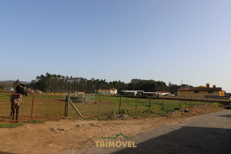 Terreno para Venda em Loureiro Foto 3