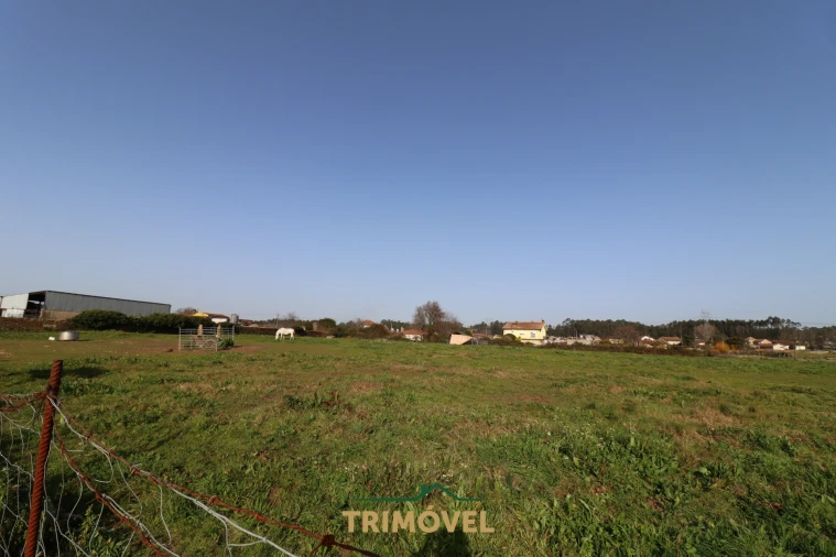 Terreno para Venda em Loureiro Foto 7