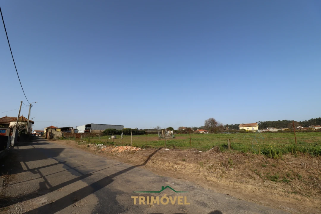 Terreno para Venda em Loureiro Foto 9